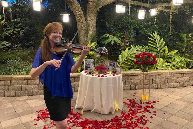 Proposal violinist