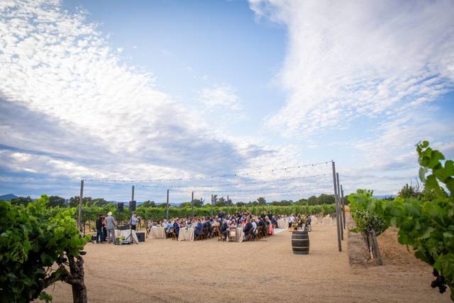 Dining inside the vines