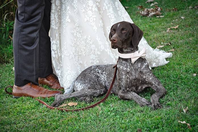 Wedding4