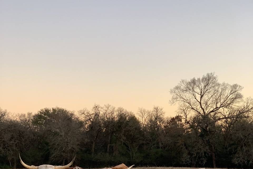 Circle C Barn at Copperas Creek