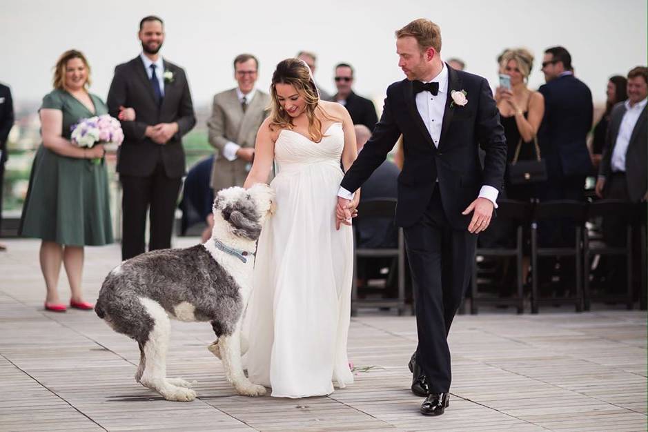 Bride's dog at the ceremony!