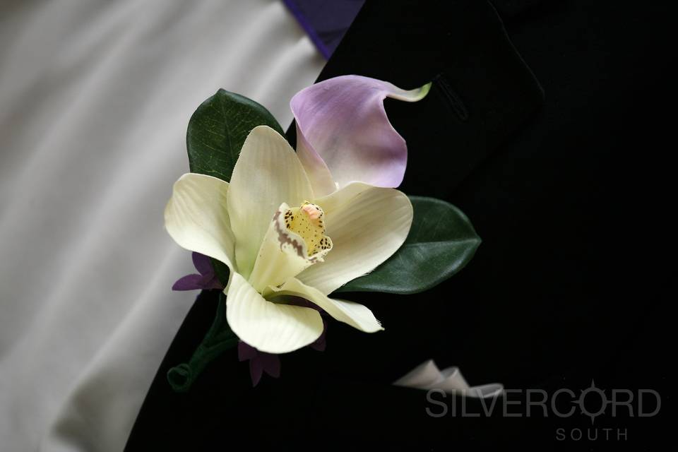 Silvercord South Photography