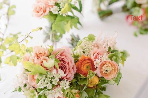 Ranunculus