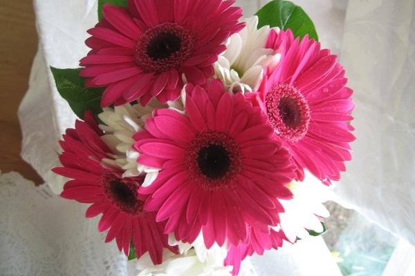 Sweet, simple pink gerberas and white daisys