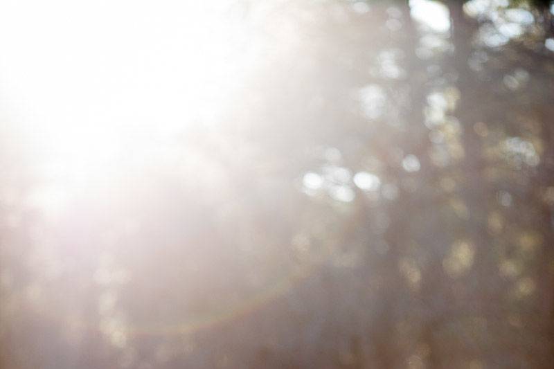 Evan Robold Photography