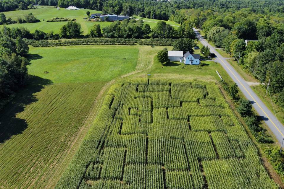 Cornmaze