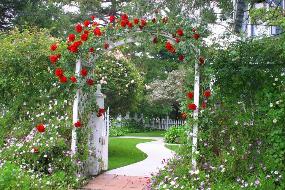 Rose archway