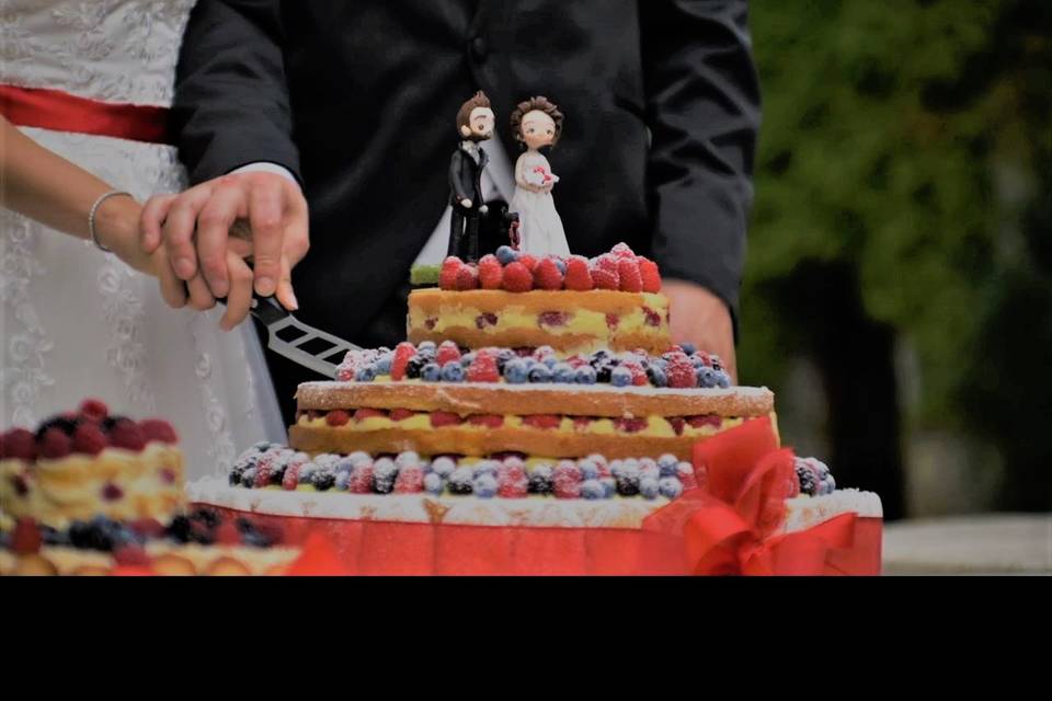 Wedding couple cutting cake