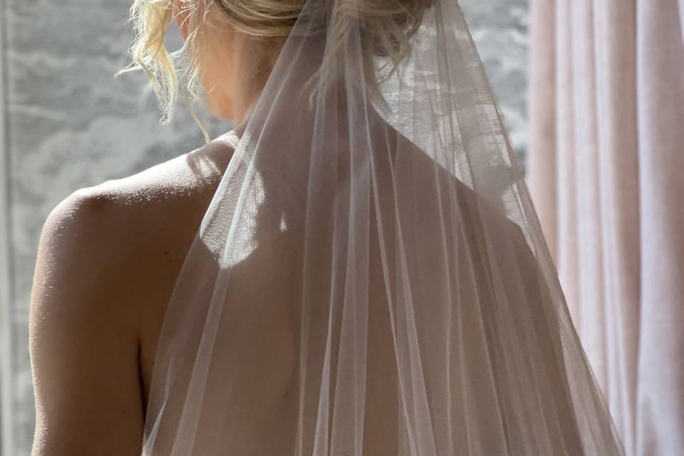 Veil + Lace Tulle Gown