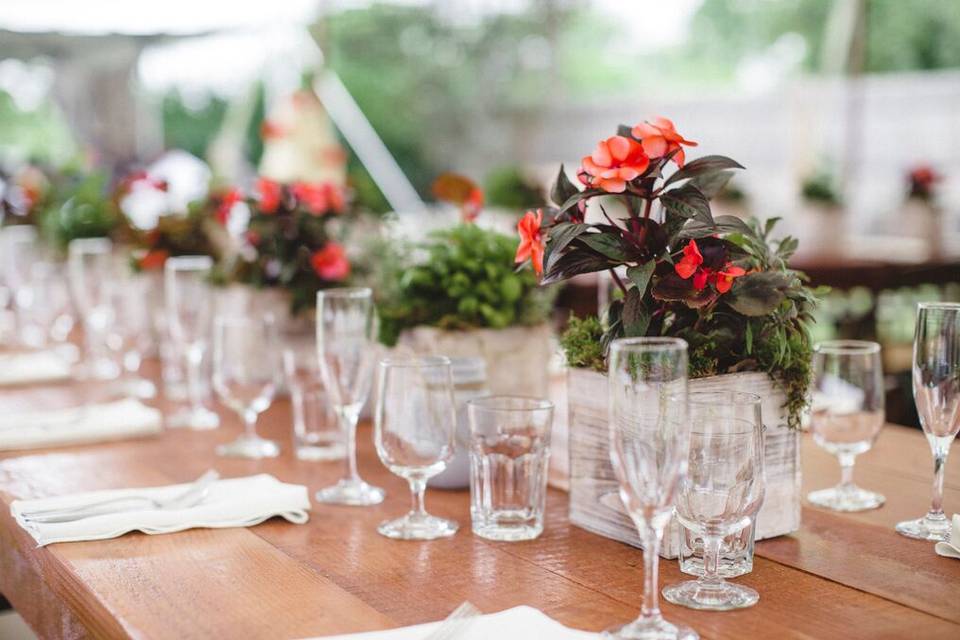 Events by Sorrell