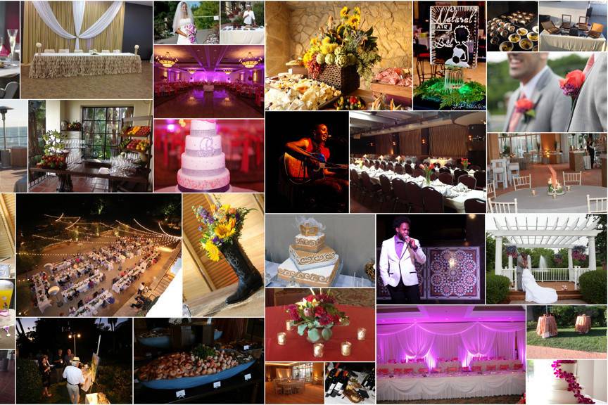 L' Shanell Events