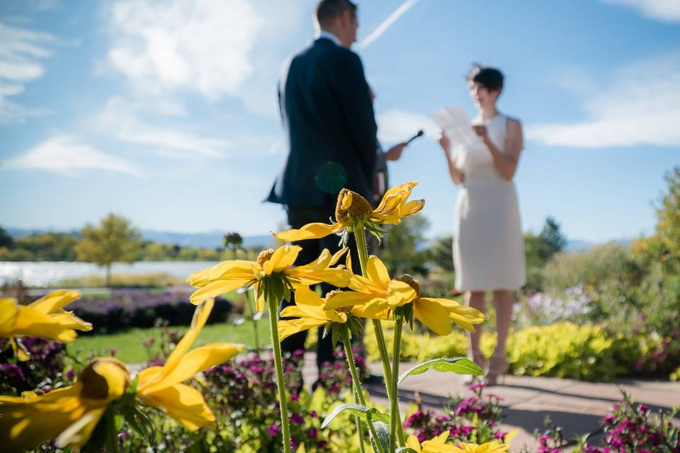 Denver Park elopement