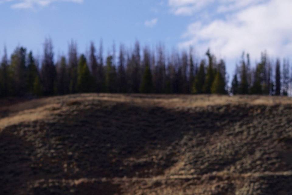 Colorado Engagement Session