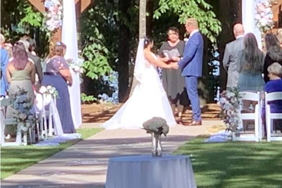 Civil Ceremonies