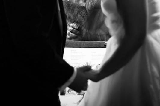 Newlyweds share a kiss