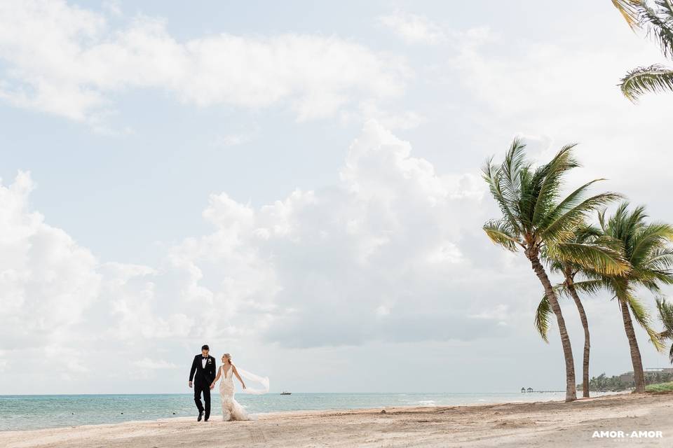 Beach wedding - AmorAmor Weddings