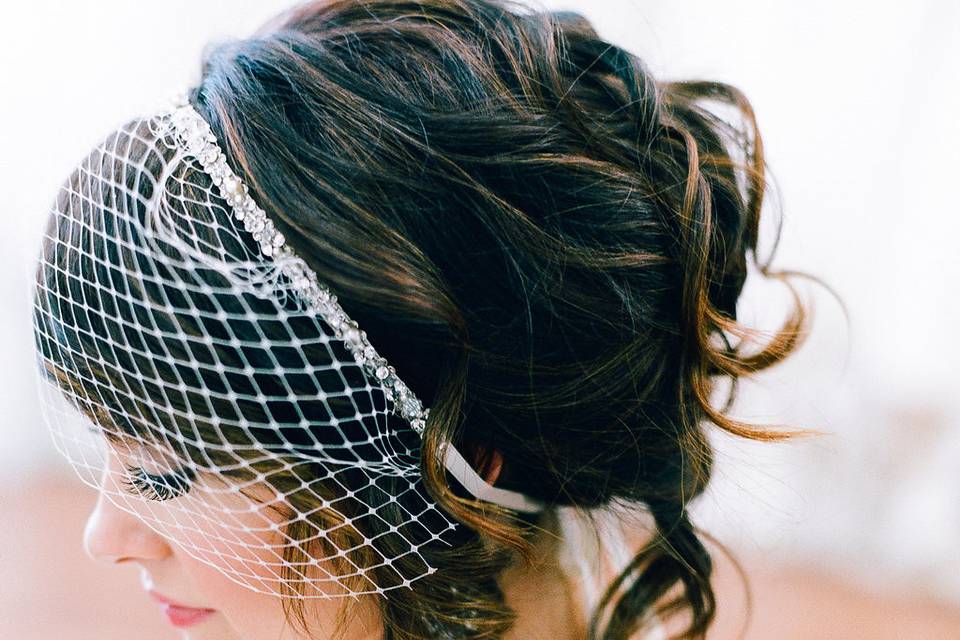 Netted veil