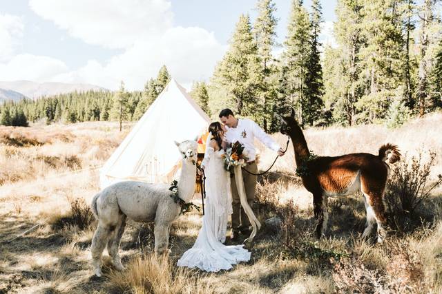 Stephanie Wood Photography