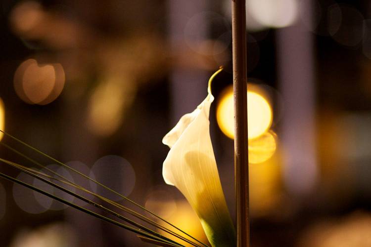 Lourdes & Lorraine Event Design