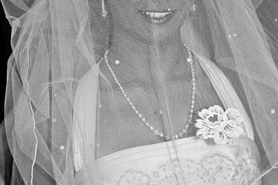 Photos by Ashley Nicole