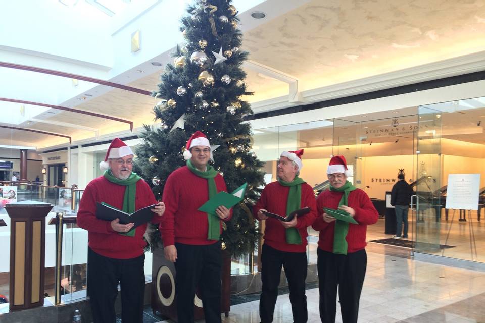 Christmas carolers for hire in malls, for christmas company holiday parties and more