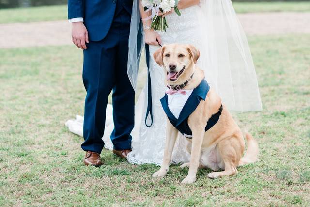 Whitney Gremaud Photography