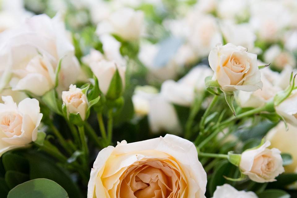 White and peach roses