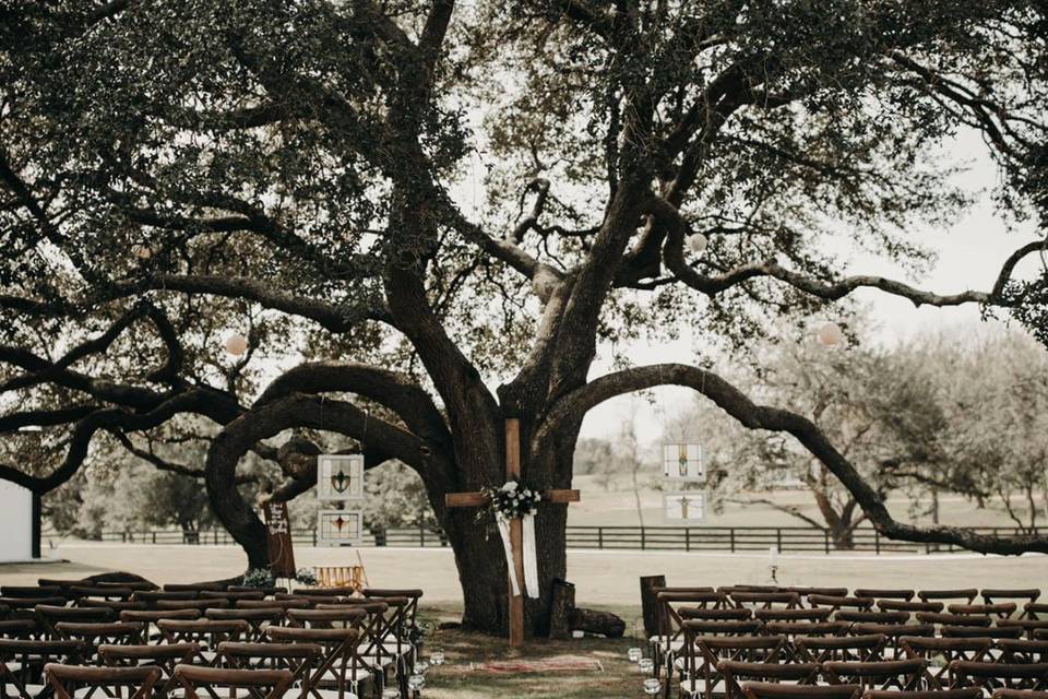 Ceremony tree