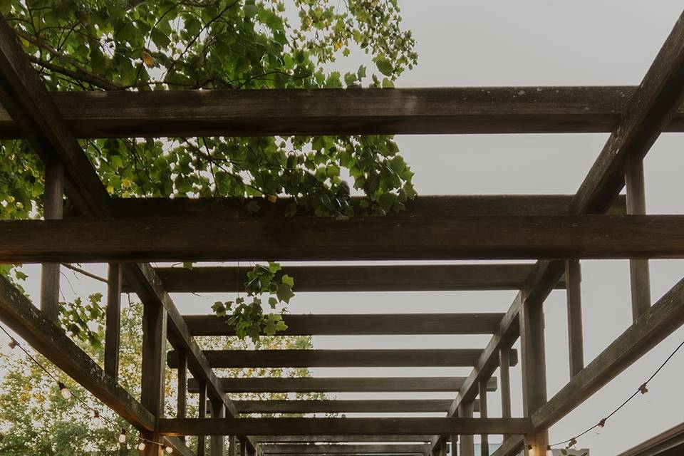 Beautiful shot