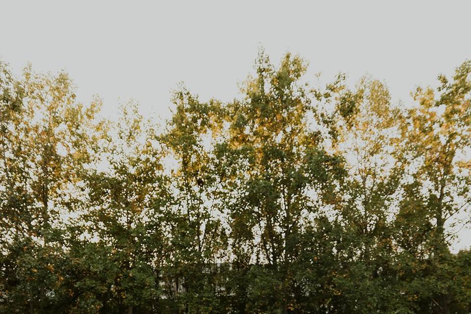 Outdoor venue