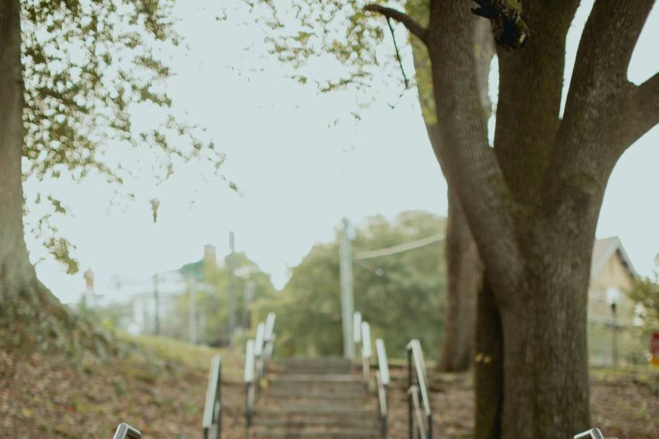 Couple's Photos