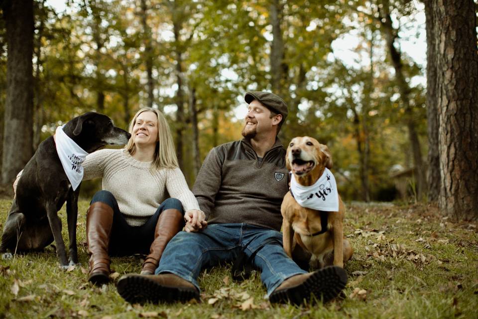 Engagement with pups