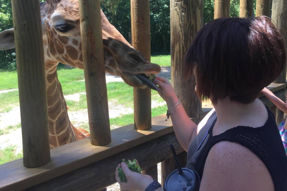 Columbia Zoo (SC)
