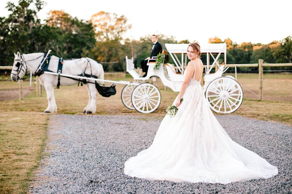 Verità. A Bridal Boutique