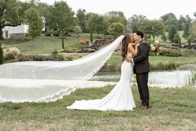 TLIC Wedding Photo & Video
