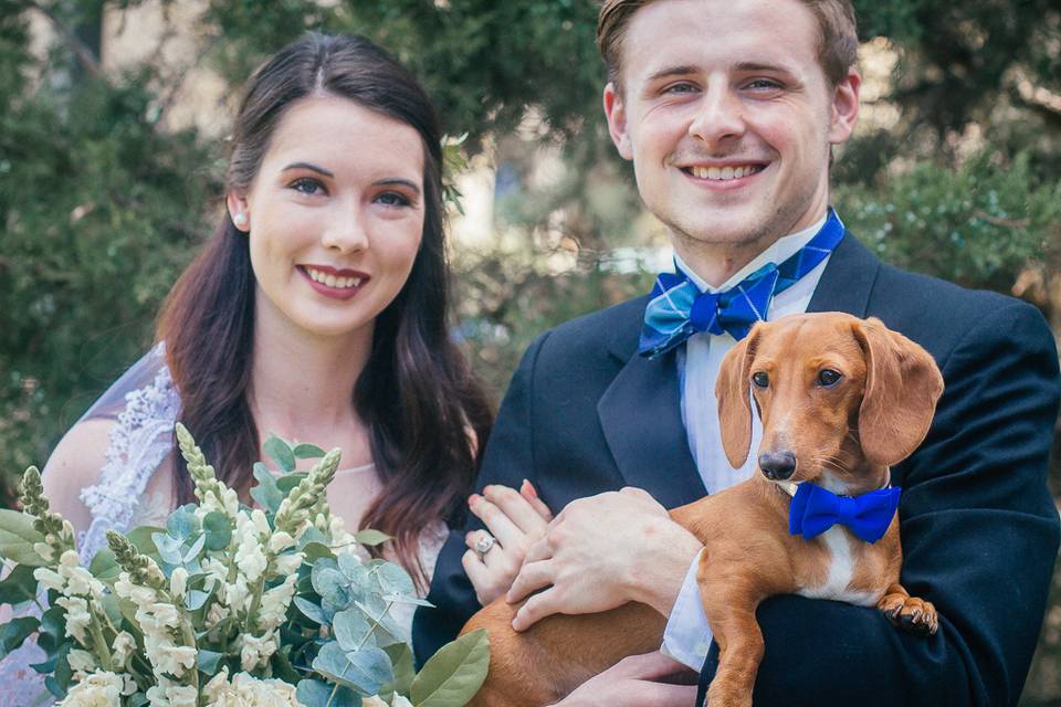 Puppy wedding