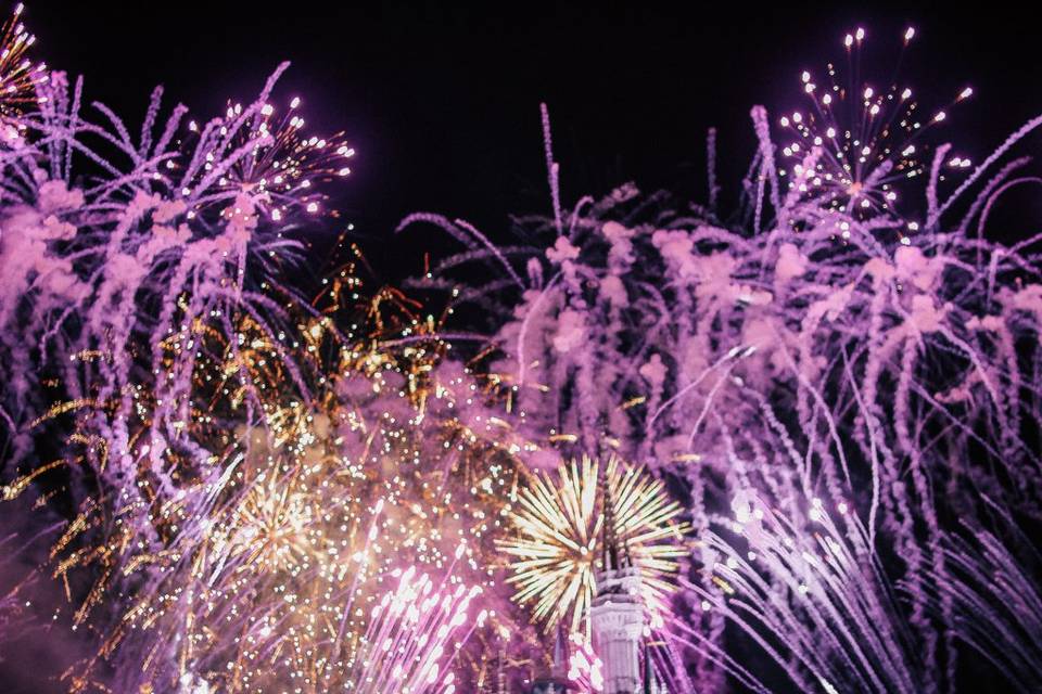 Disney wedding fireworks