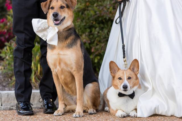 Andrew Joseph Photography