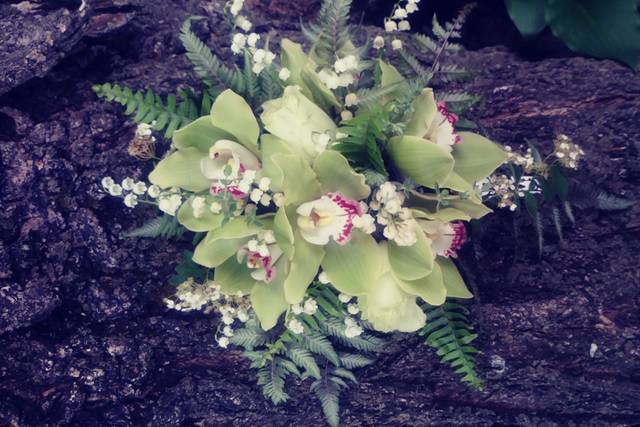Green Cymbidium and fern