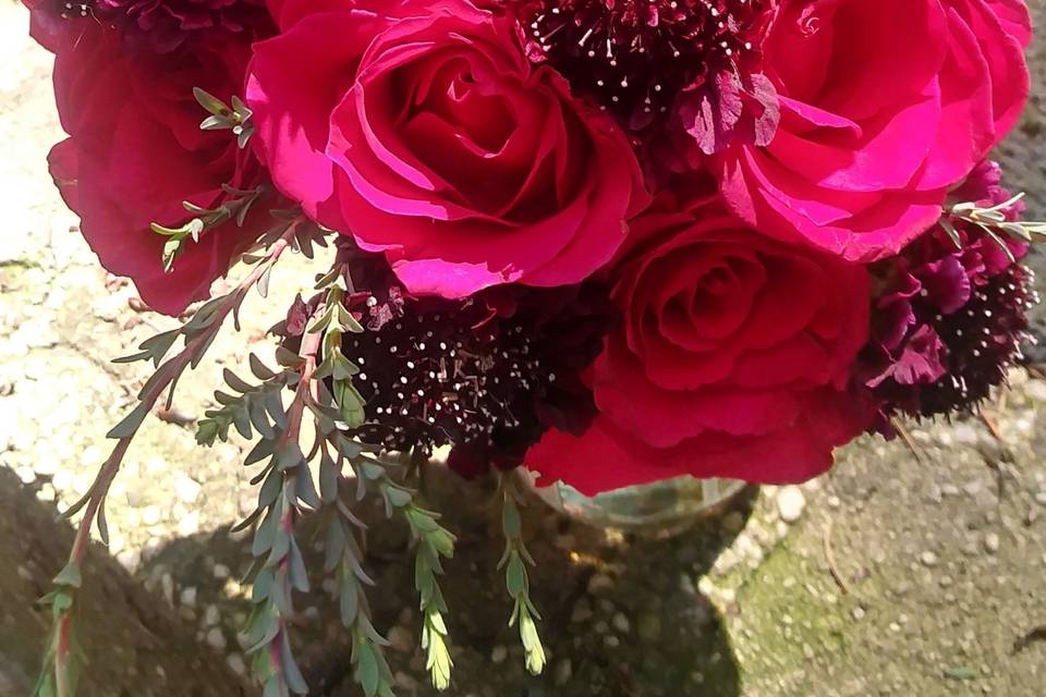 Roses and scabiosa