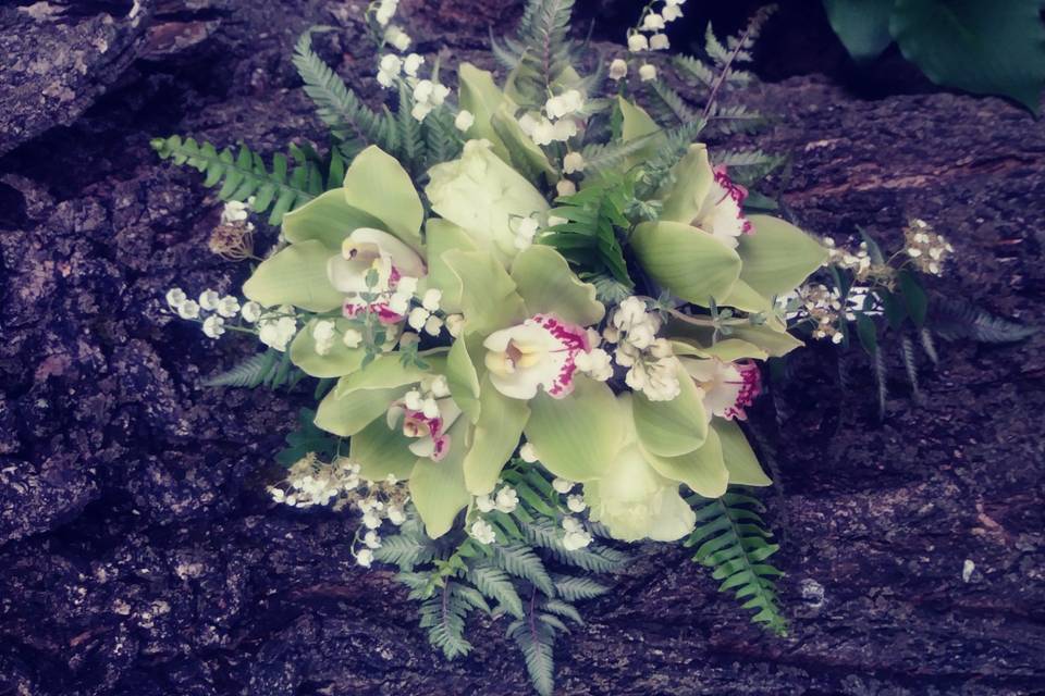 Green Cymbidium and fern