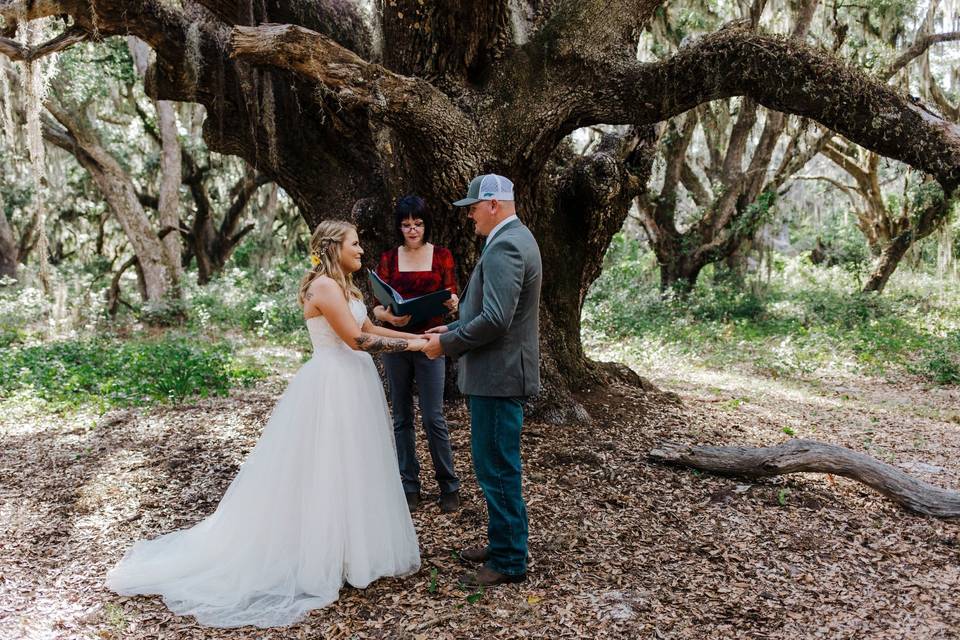 Love Bird Wedding Ceremonies