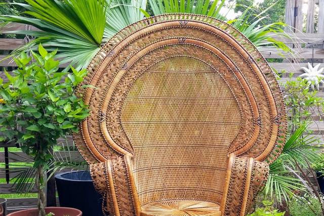 Peacock Chair