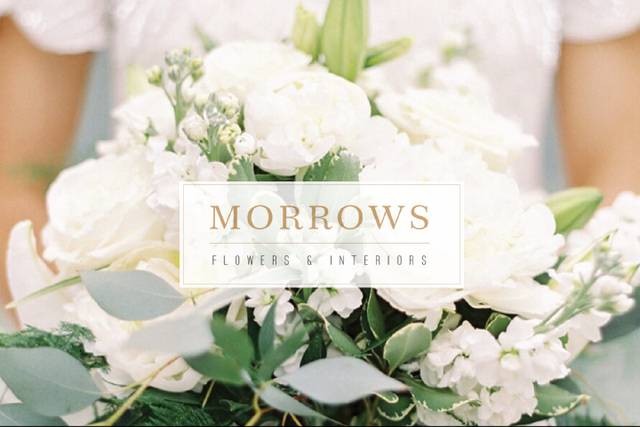 Morrow's Flowers