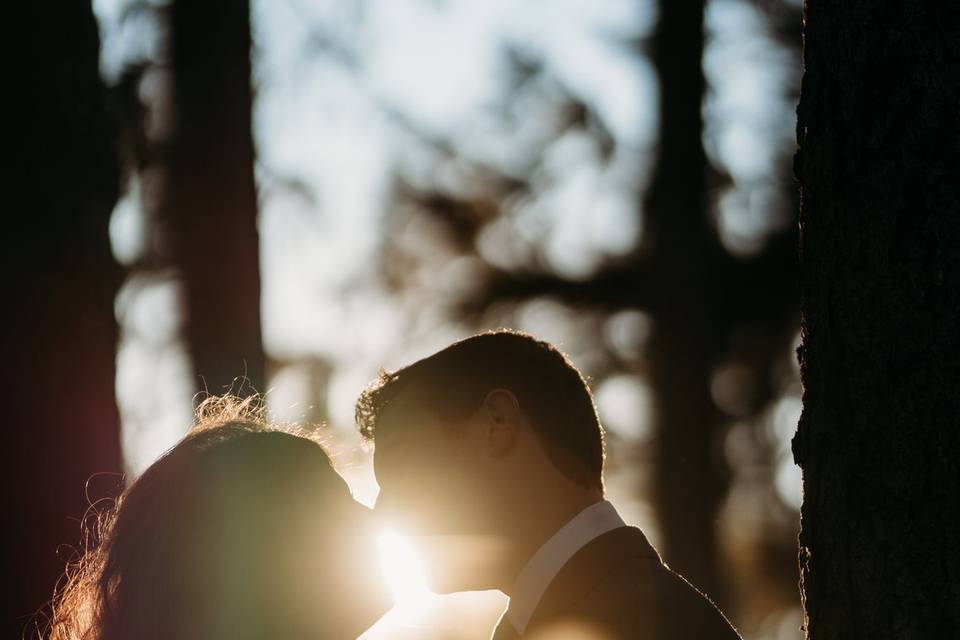 Chicago Wedding Photography