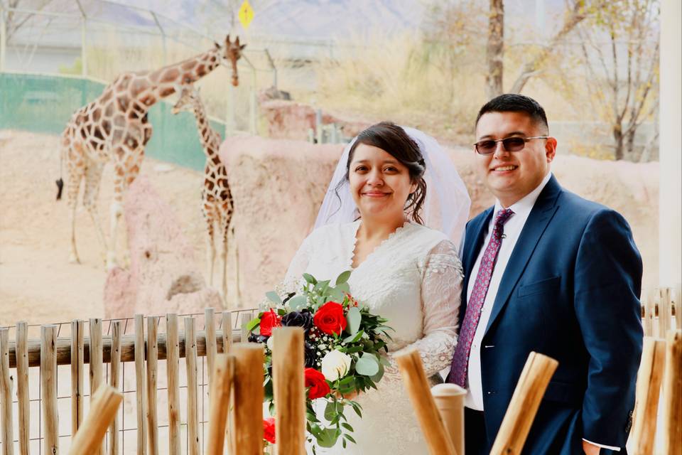 El Paso Zoo - Venue - El Paso, TX - WeddingWire