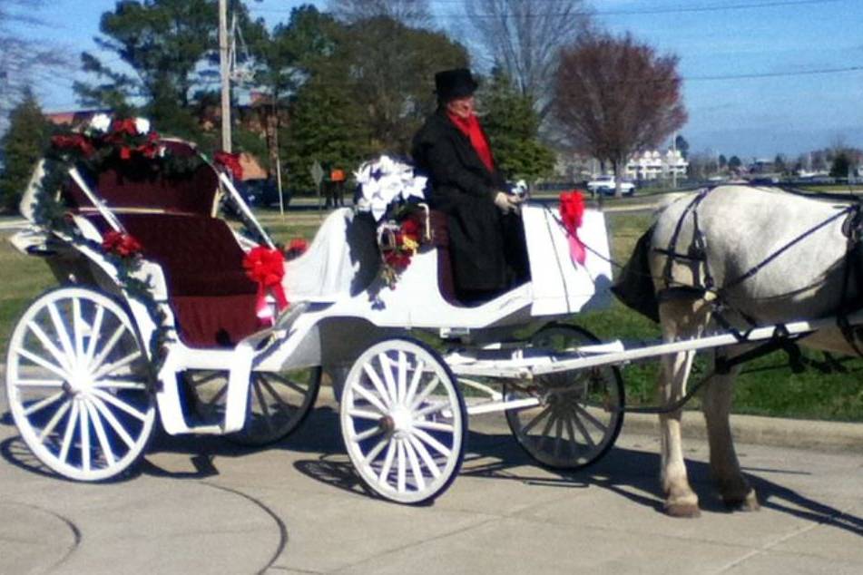 Carolina Carriages