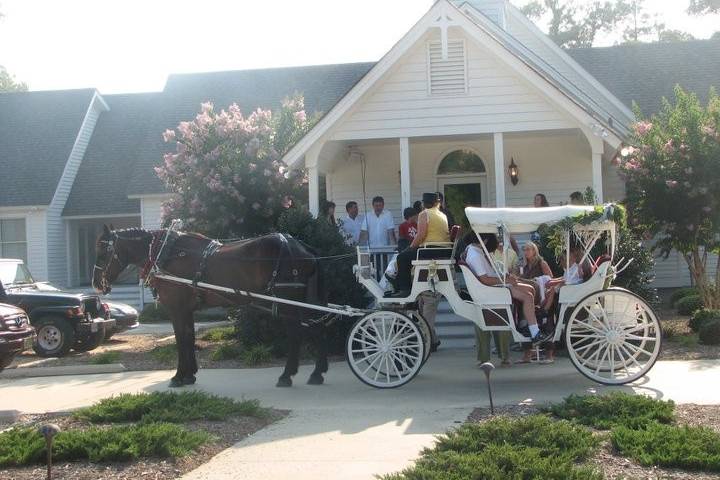 Carolina Carriages