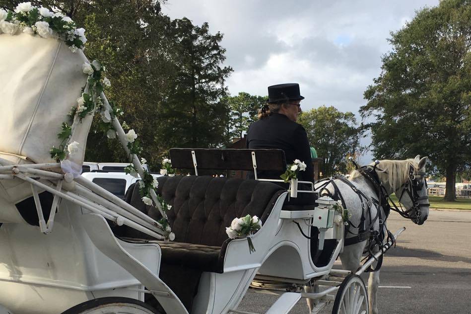 Carolina Carriages