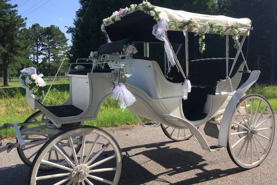 Carolina Carriages